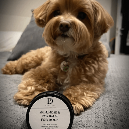 Dog with skin, nose and paw balm for dogs - Pawdaw of London