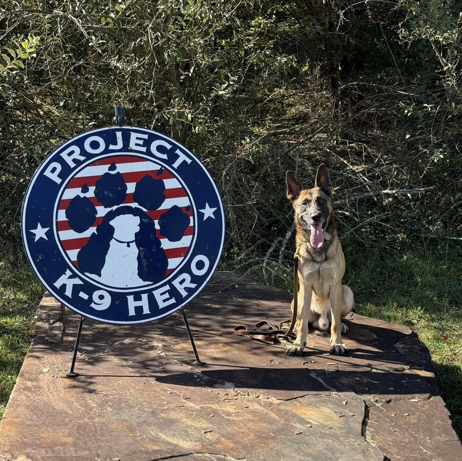 k9 guado by the pk9h sign