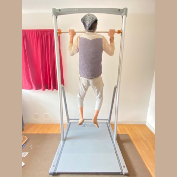 customer review assisted pull up adjustable bar and dip station by SoloStrength