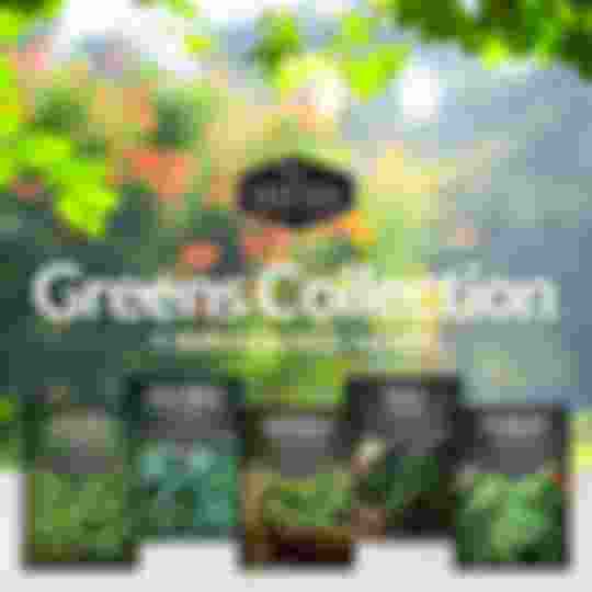 greens seed collection - 5 varieties of leafy greens