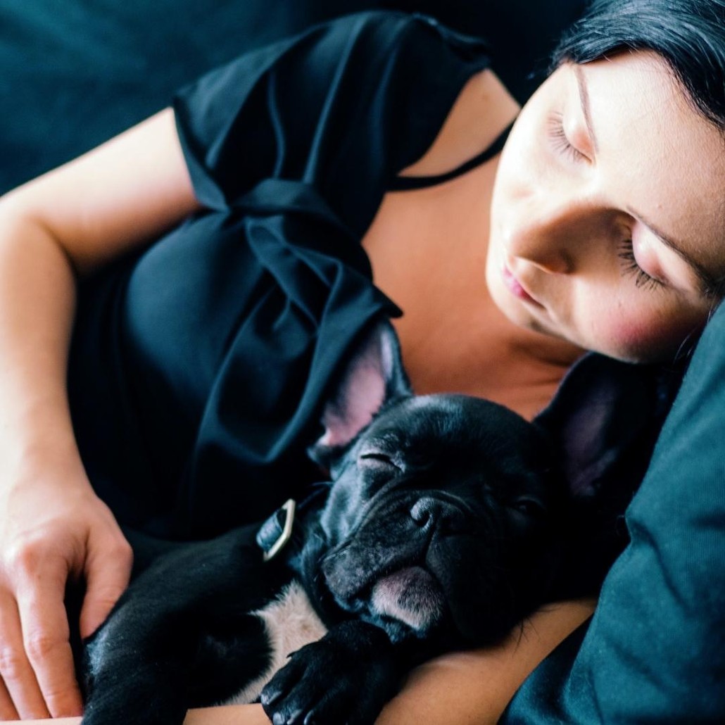 Sleeping black dog and woman