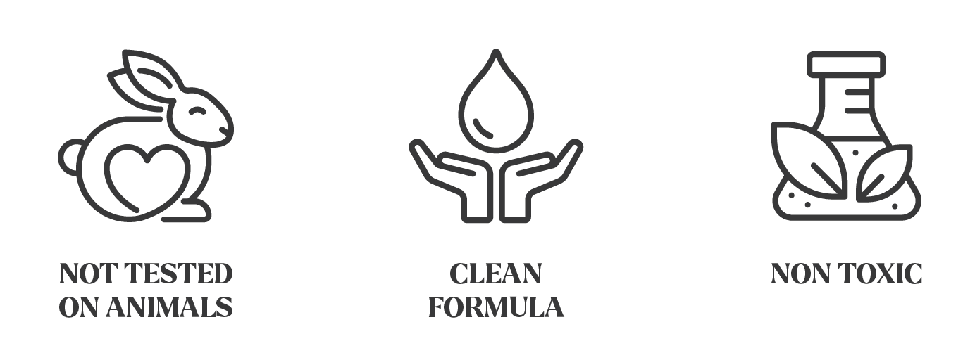 2. The image shows a set of icons representing various attributes of a product