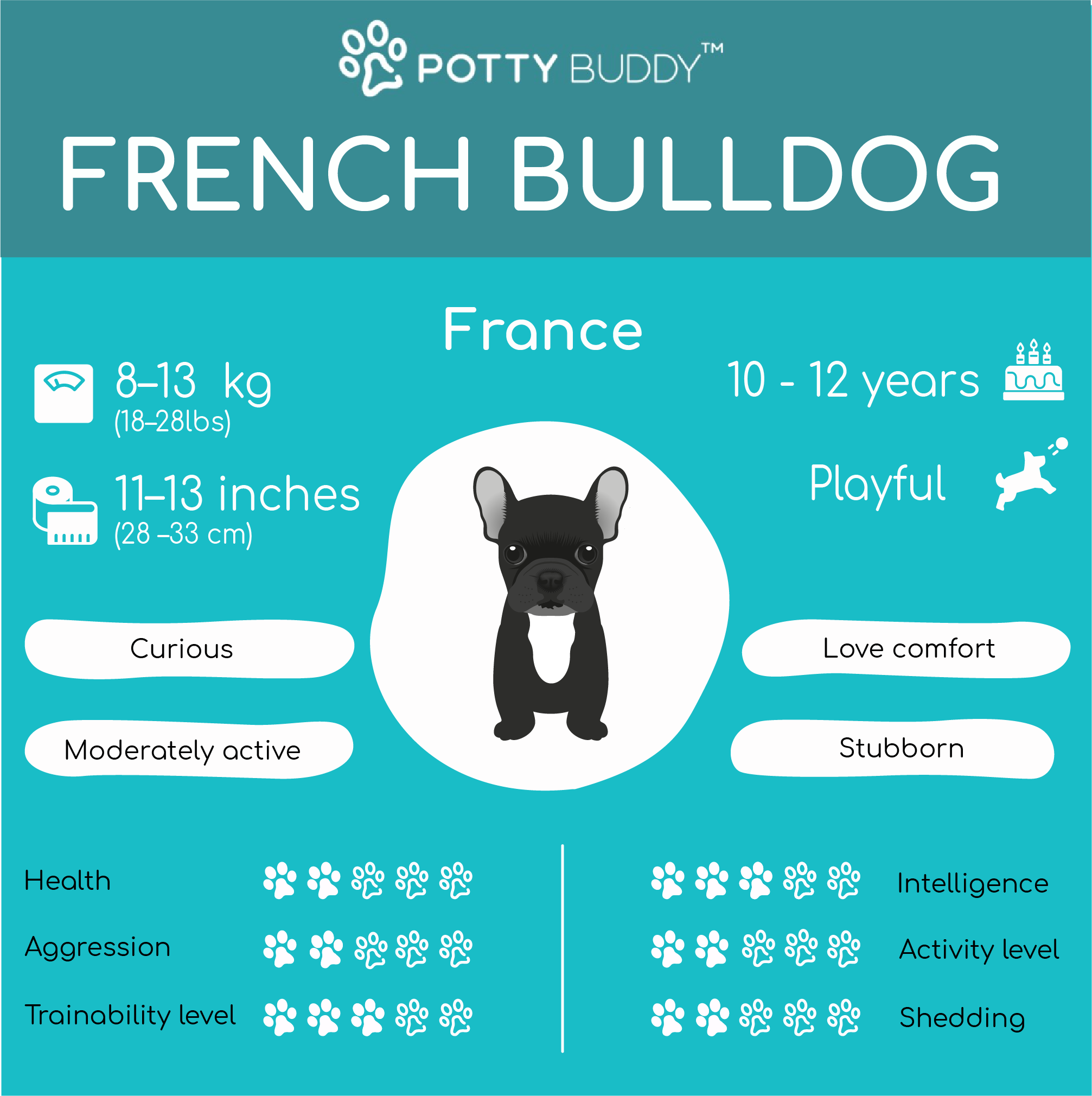 Characteristics of the French Bulldog in One Picture