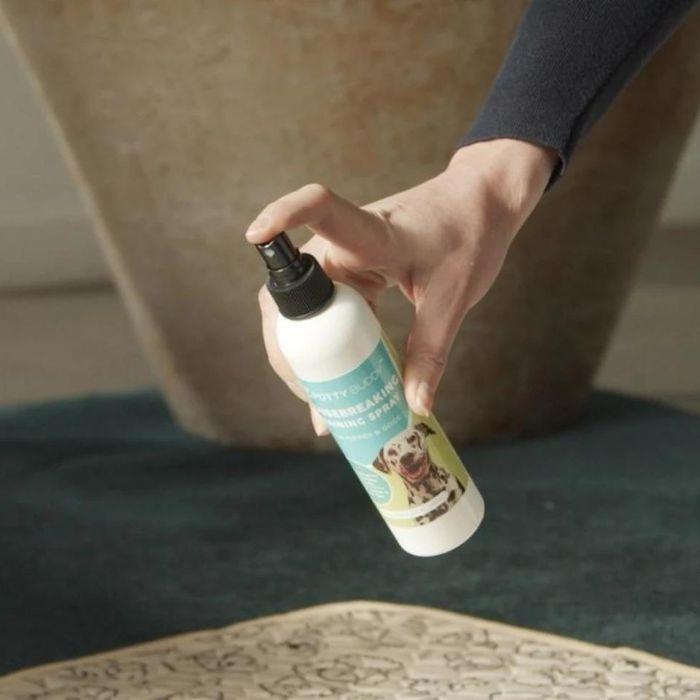 potty training spray in a hand