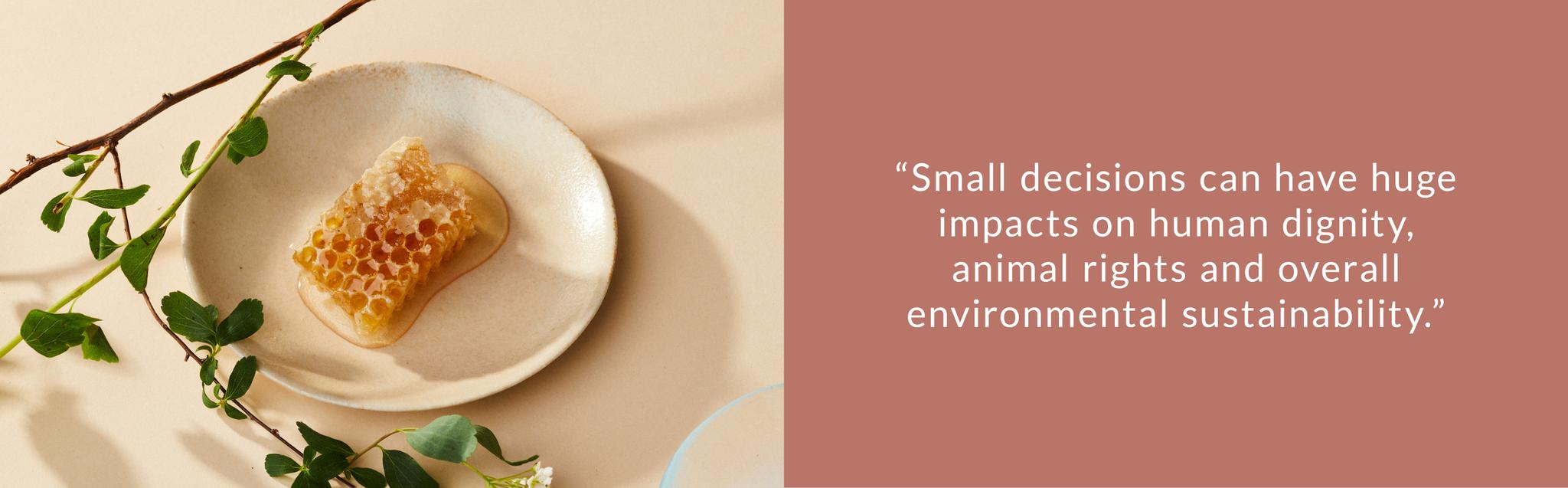 small decisions can have huge impacts on human dignity, animal rights and overall environmental sustainability