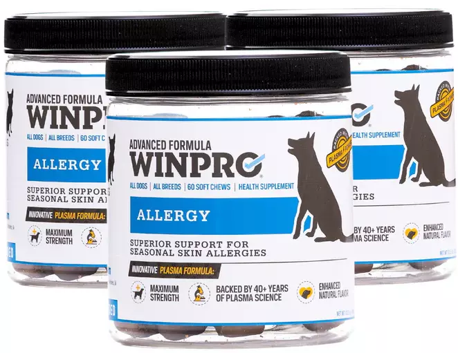 Allergy