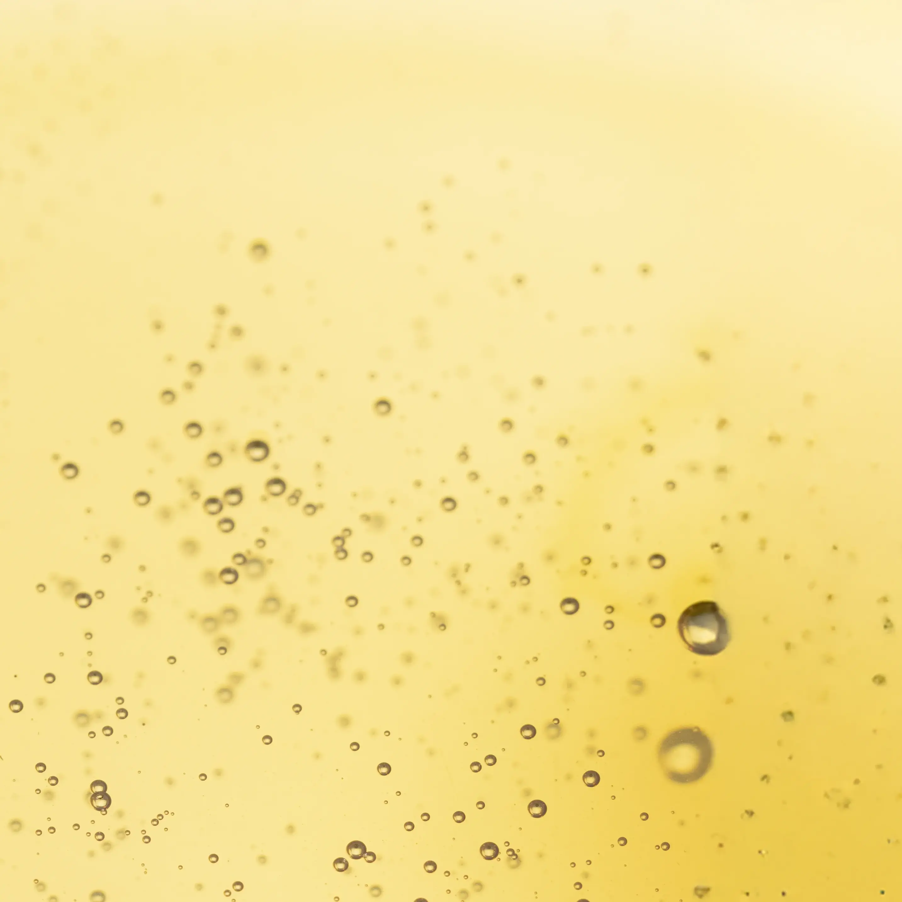 Representative image of cereal brans