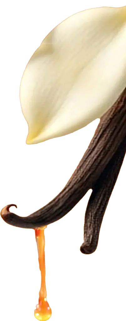 Vanilla ingredient