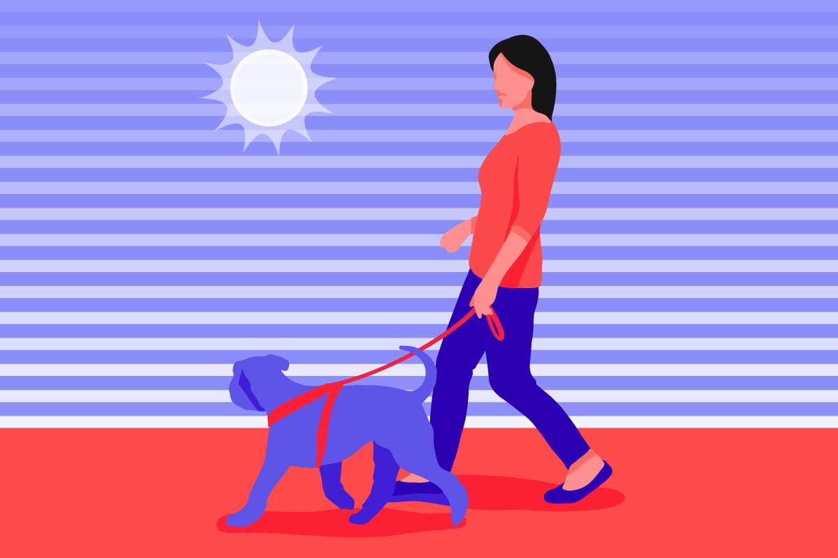 A diurnal dog being walked by its owner during the day.