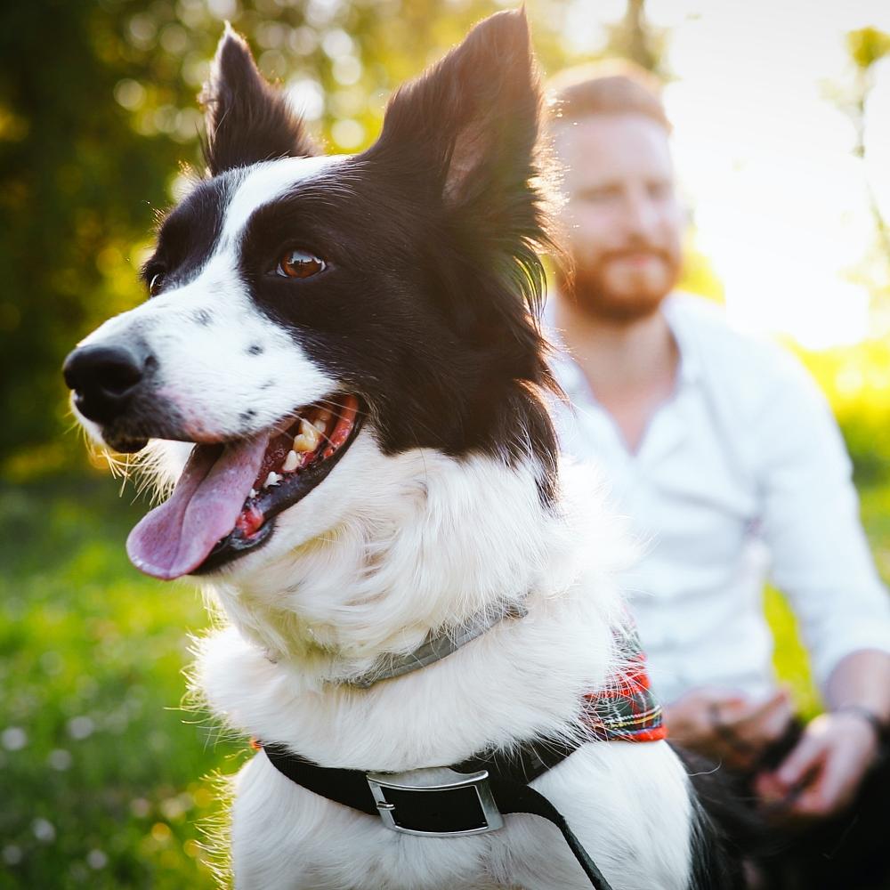 Man and dog