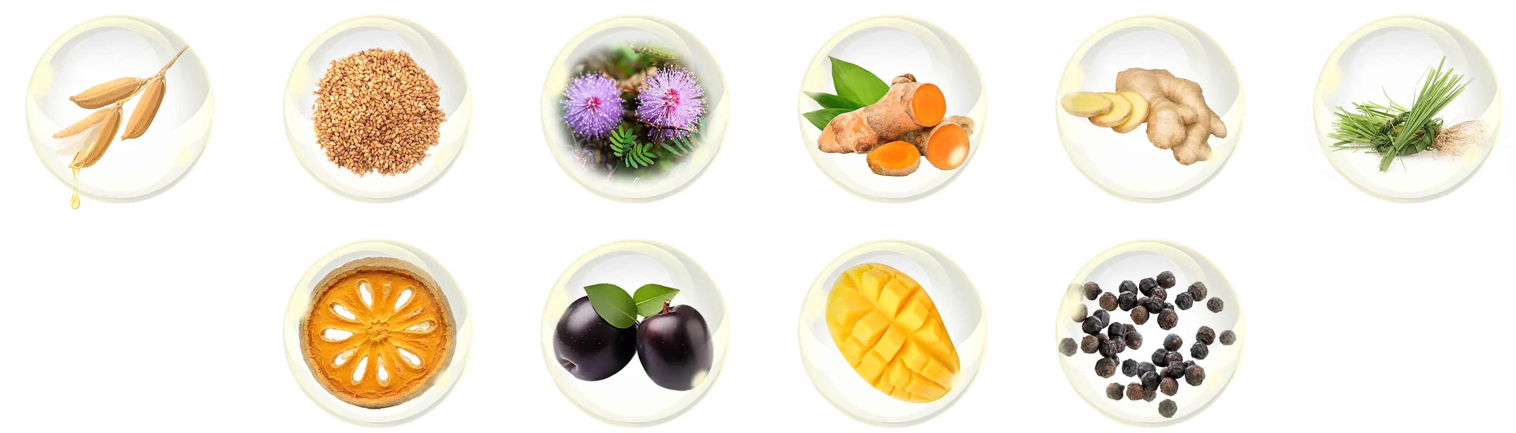 10 natural ingredients