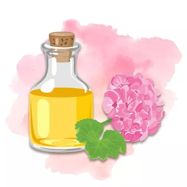 2. Geranium Flower Oil