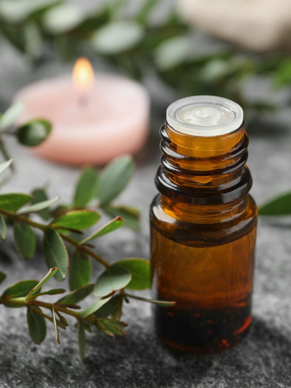 Bottle of eucalyptus essential oil and plant branches on grey table