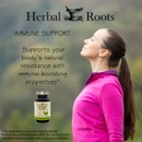 Women taking a deep breath outside, a bottle of Herbal Roots ginkgo biloba with the text: Herbal Roots, Immune Support, Sorrts your body's natural resistance with immune-boosting properties* Statement not evaluated by the FDA