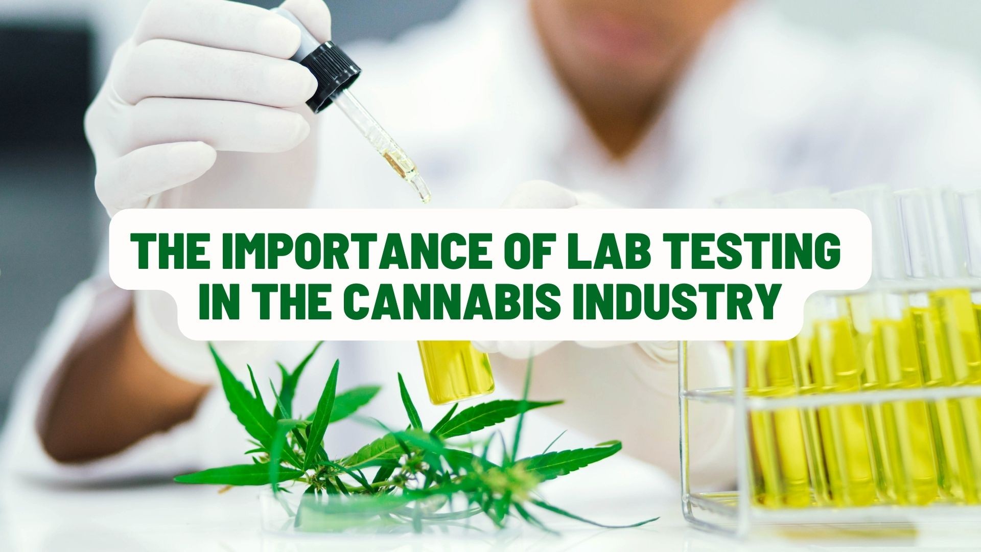 The Importance of Lab Testing in the Cannabis Industry