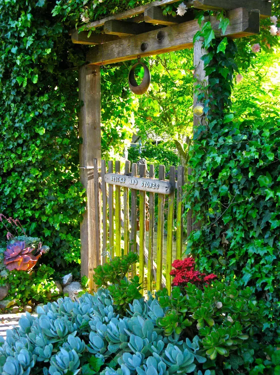 Timber garden arch with wooden gate surrounded by lush greenery and climbing plants.
