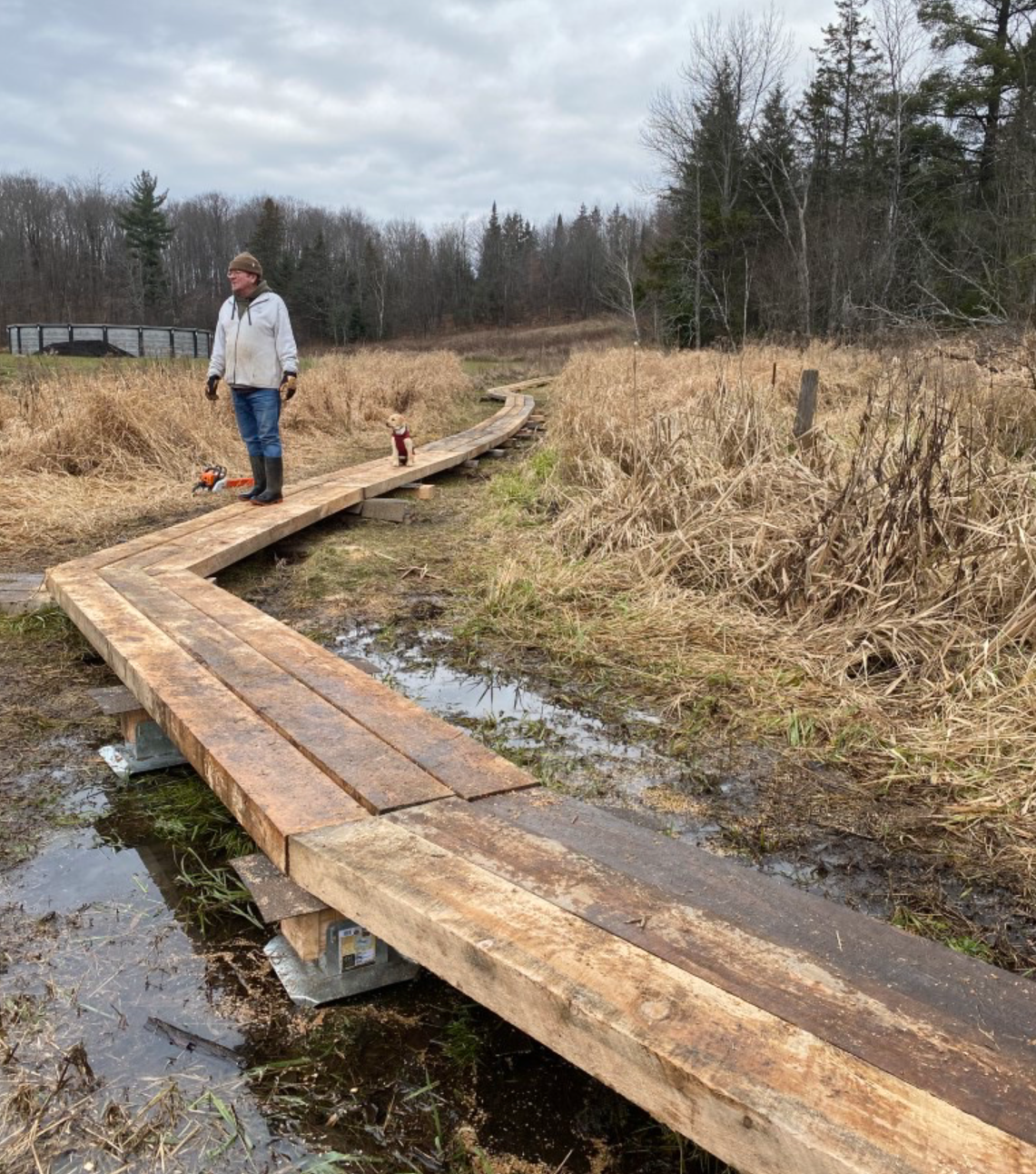 Boardwalk along the Canadian Trail