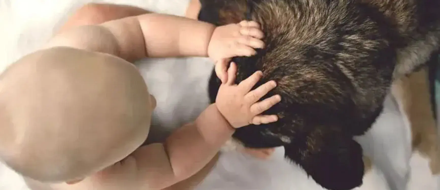 A baby gently touches a dog while playing together on a bed, showcasing a moment of interaction and joy.