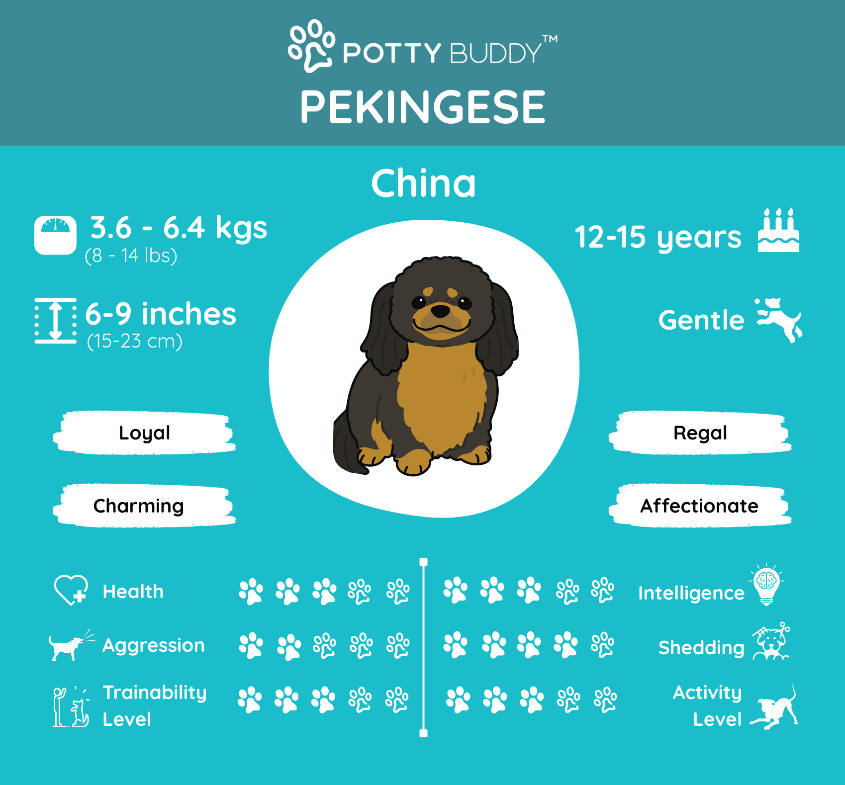 Characteristics of a Cavapoo dog