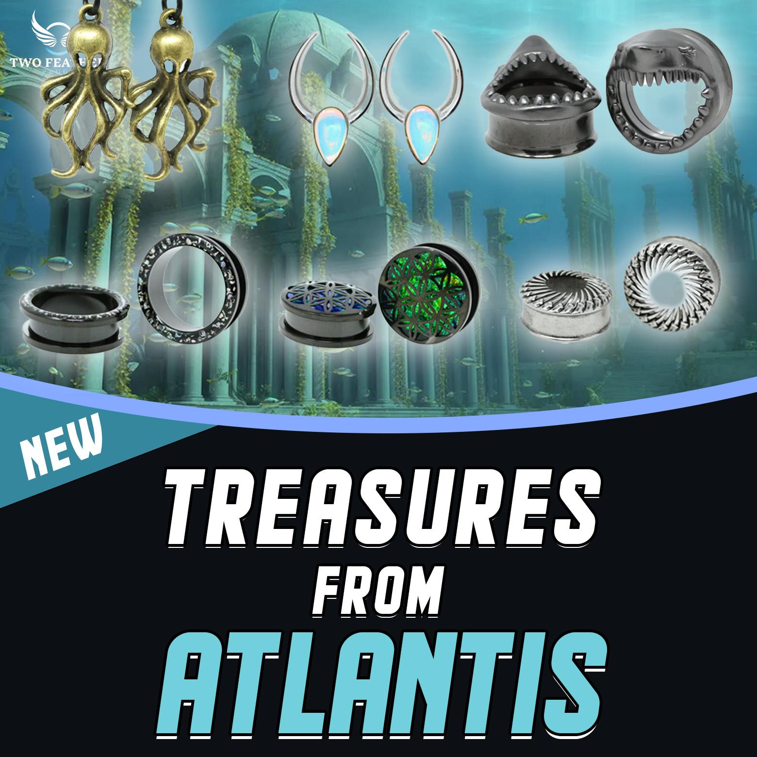 stone plugs and gauges