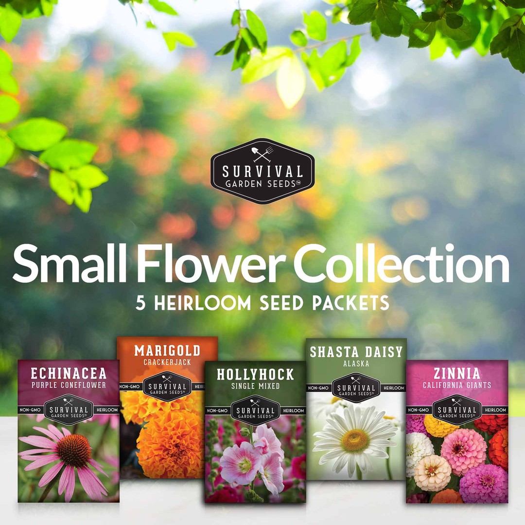 5 Flower Collection - Daisy, Marigold more - SurvivalGardenSeeds