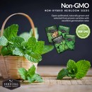 non-gmo heirloom herb seeds for your garden