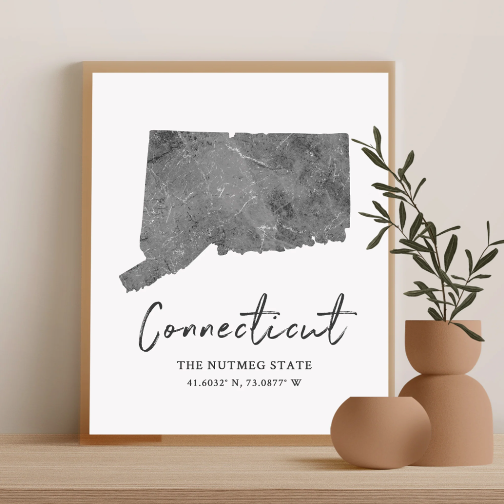 Connecticut State Map Silhouette print