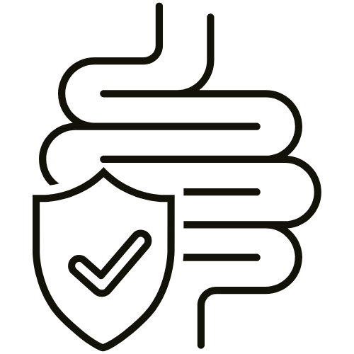 Shield icon with check mark and stomach line, symbolizing stomach-friendly coffee.