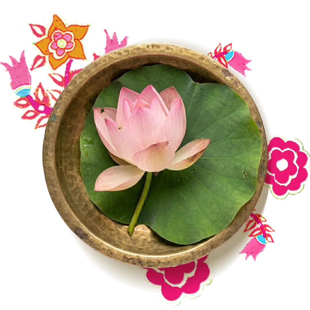 Lotus