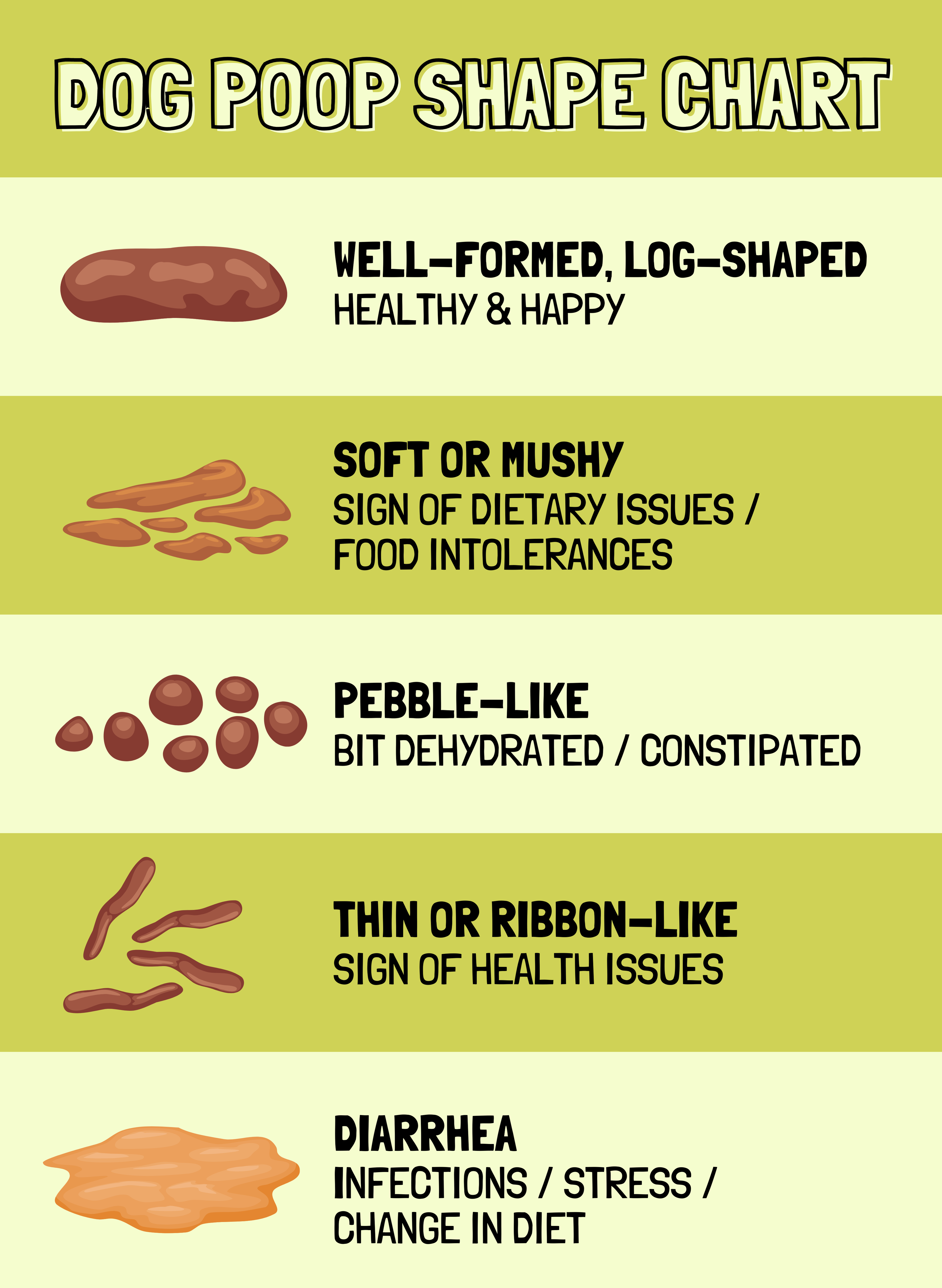 dog poop shape chart