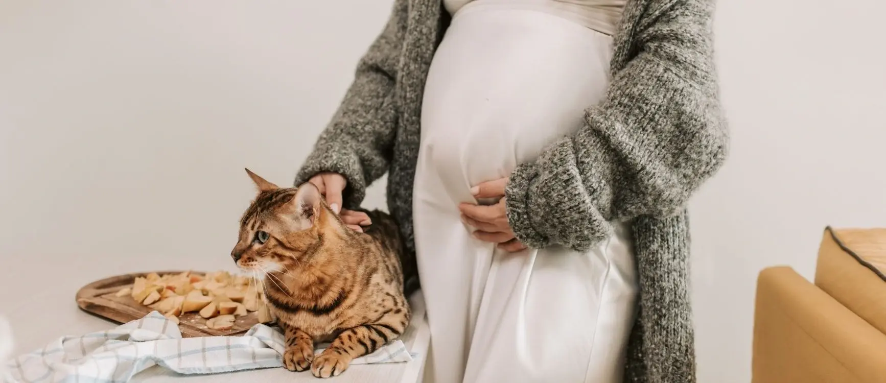 A pregnant woman is standing with a cat in her arms, highlighting the theme of pregnancy and pet safety in the blog.