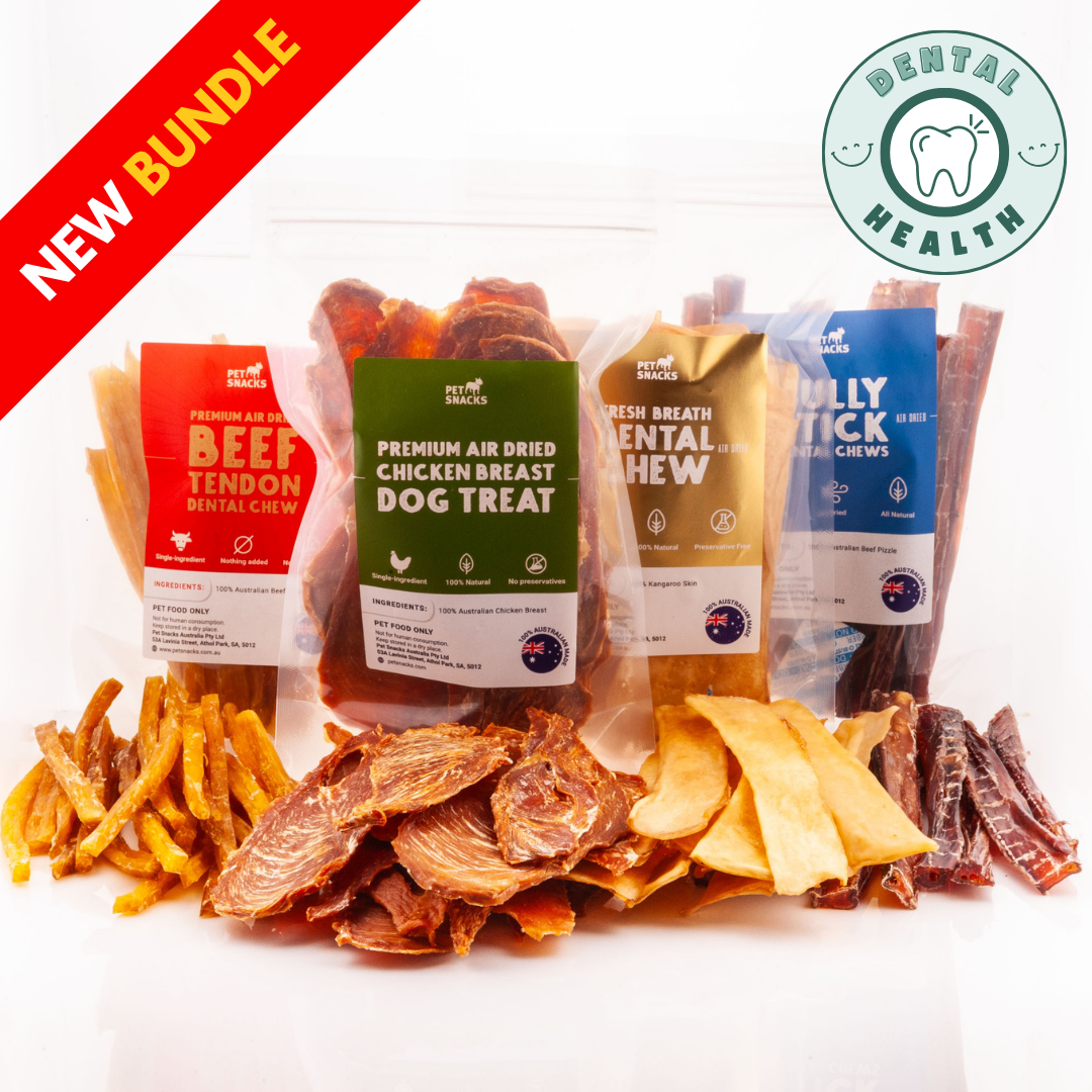 Power Chew + Treat Bundle Pet Snacks 