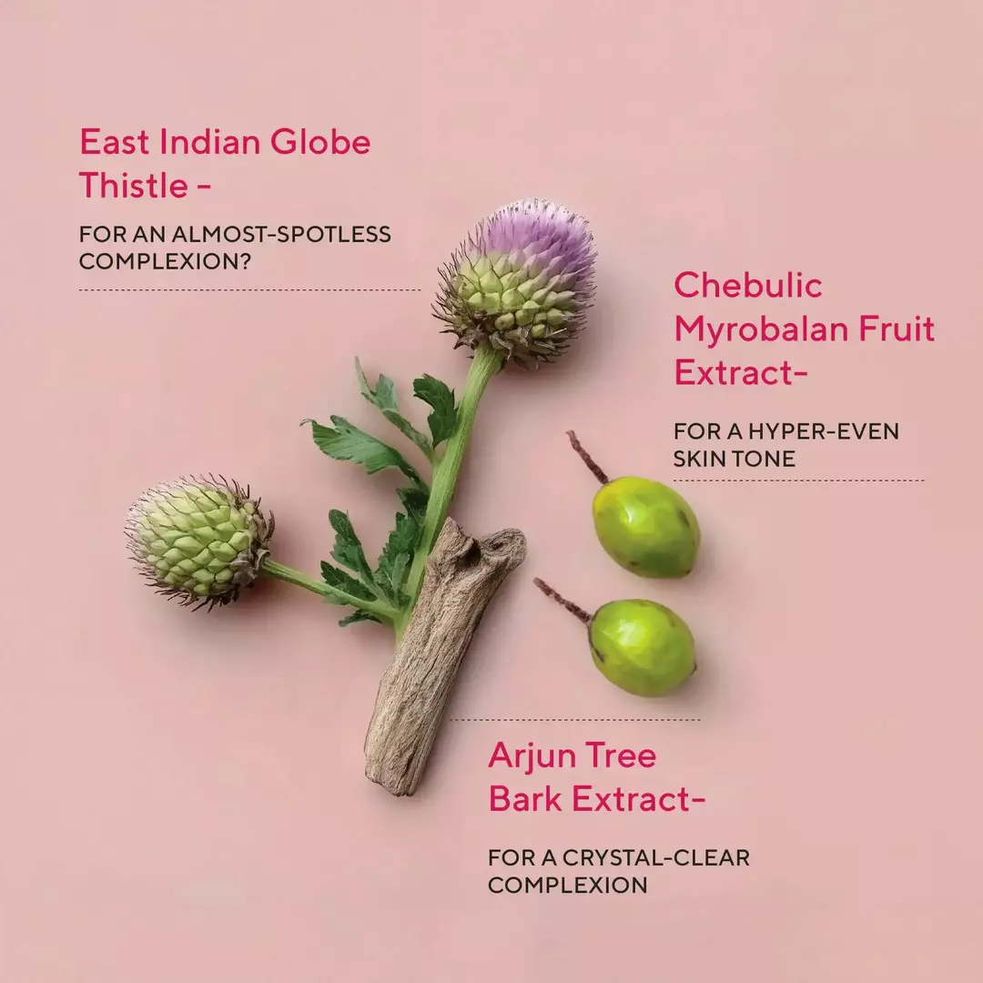 Ingredients 1