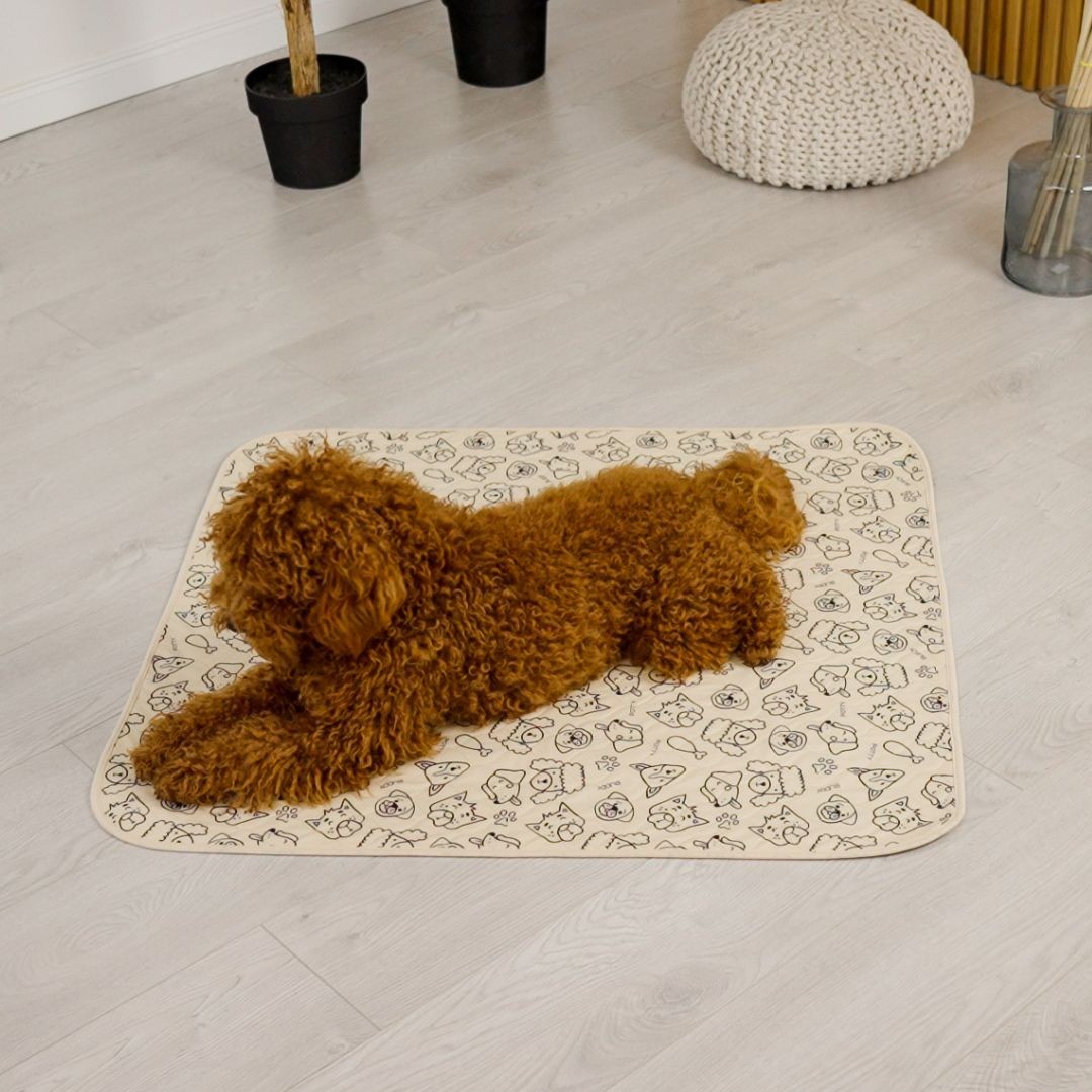 Dog lying on beige doodle Potty Buddy pad