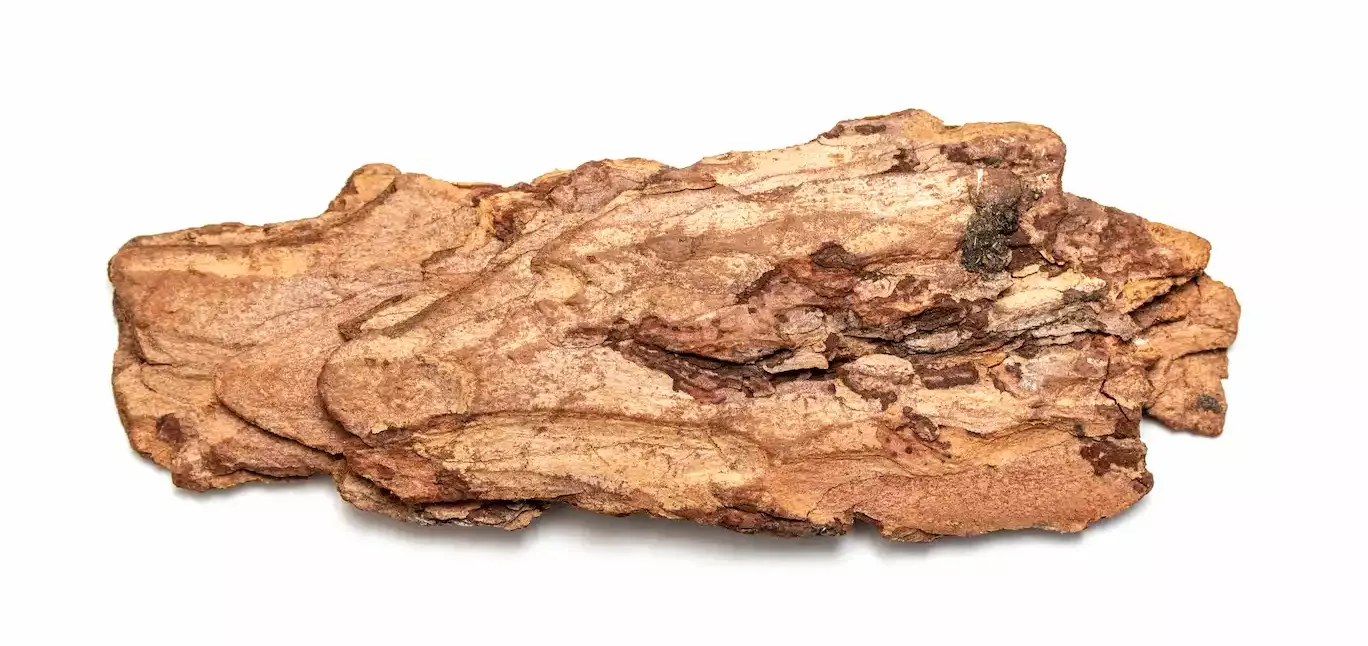 Pine Bark