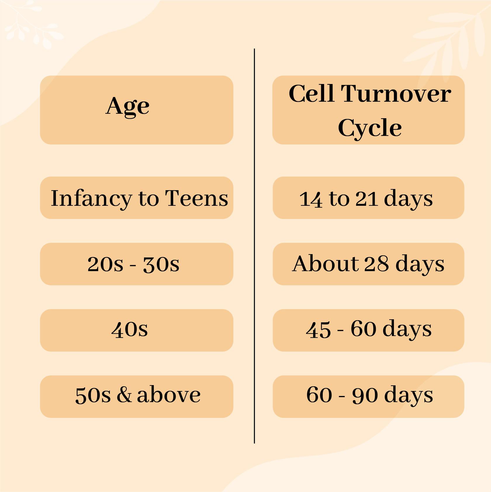 What Is Skin Cell Turnover and Why Is It Important?