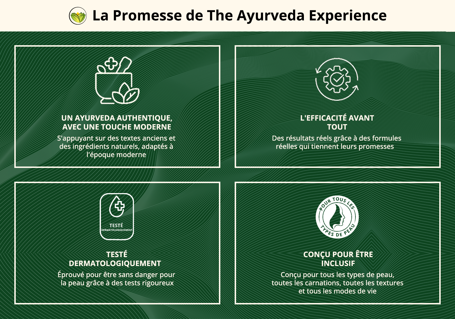 The Ayurveda Experience Promise - Desktop