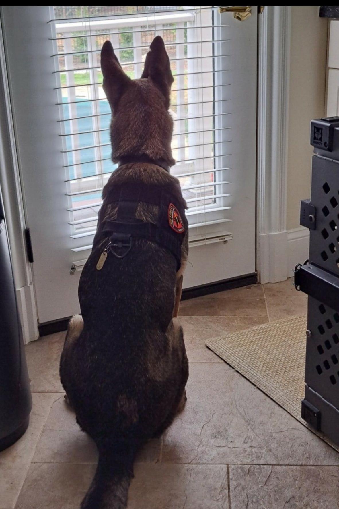 mwd adri looking outside