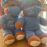 Two doctor bears sitting together
