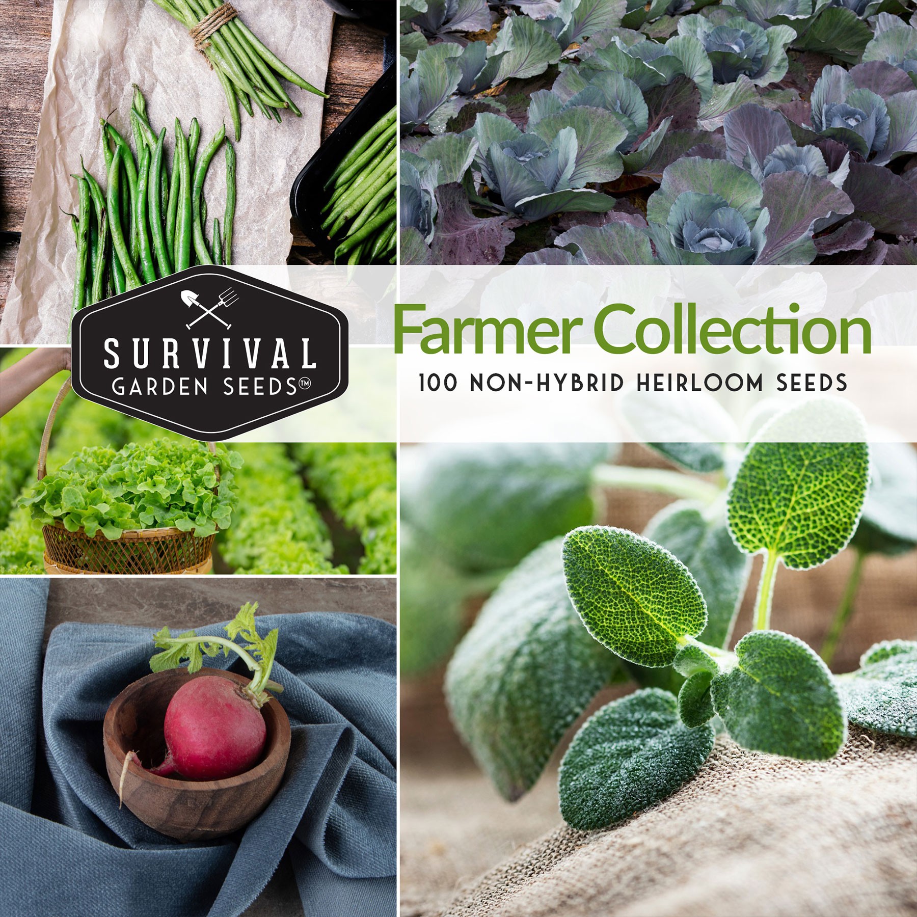 Farmers Seed Collection - 100 non-hybrid heirloom seeds