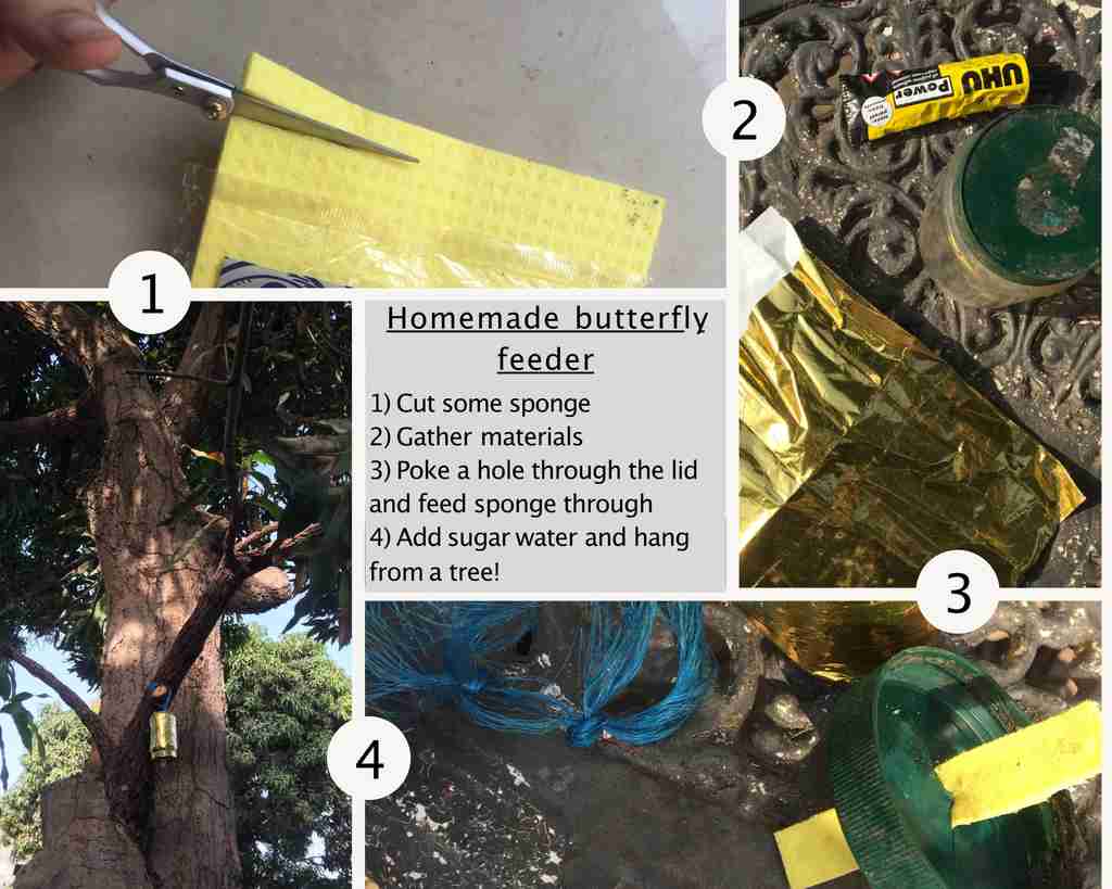 Make your own bird feeder, its easy