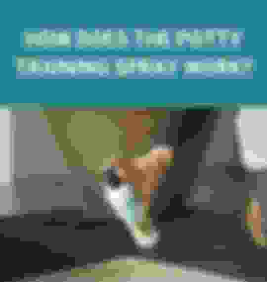 How Does The Potty Training Spray Work? Potty Buddy™