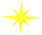 New World Wellness Star