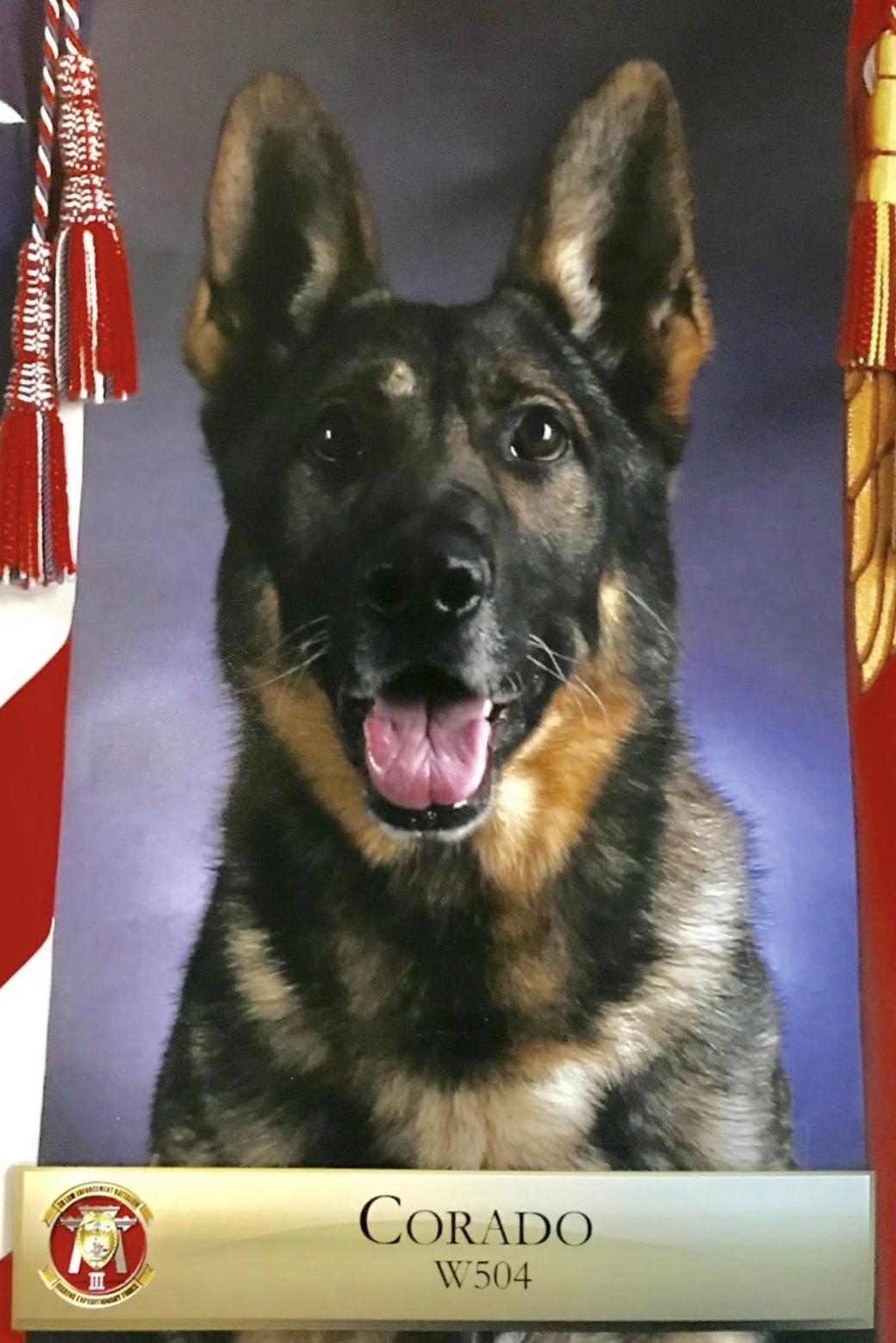 mwd corado