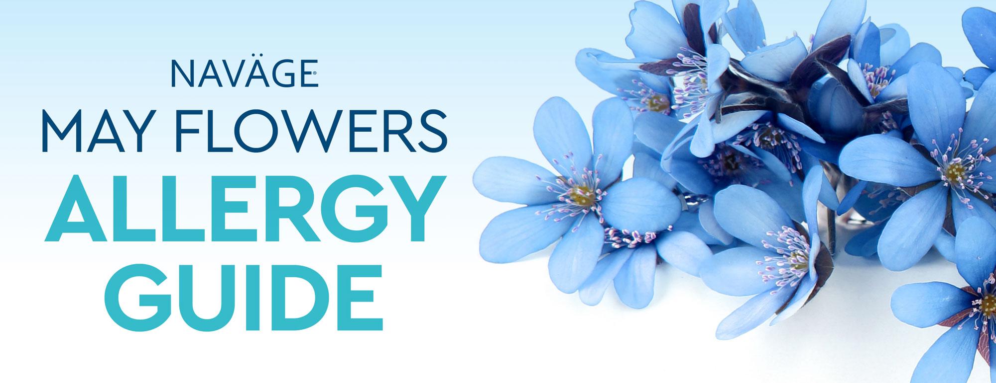 May Flowers Mean May Allergies