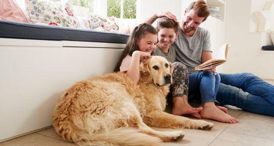 Female Golden Retriever with family