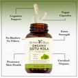 Bottle of Herbal Roots Organic Gotu Kola with arrows coming from bottle. Each arrow says: Cognitive Support, Vegan Capsules, No Binders No Fillers, Extra Strength, Promotes Skin Health, Certified Organic.