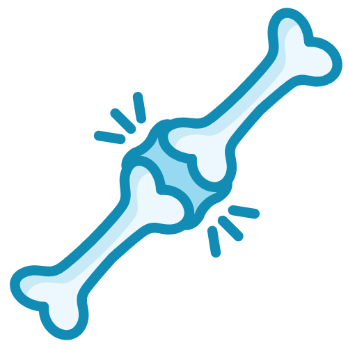 Bone and joints