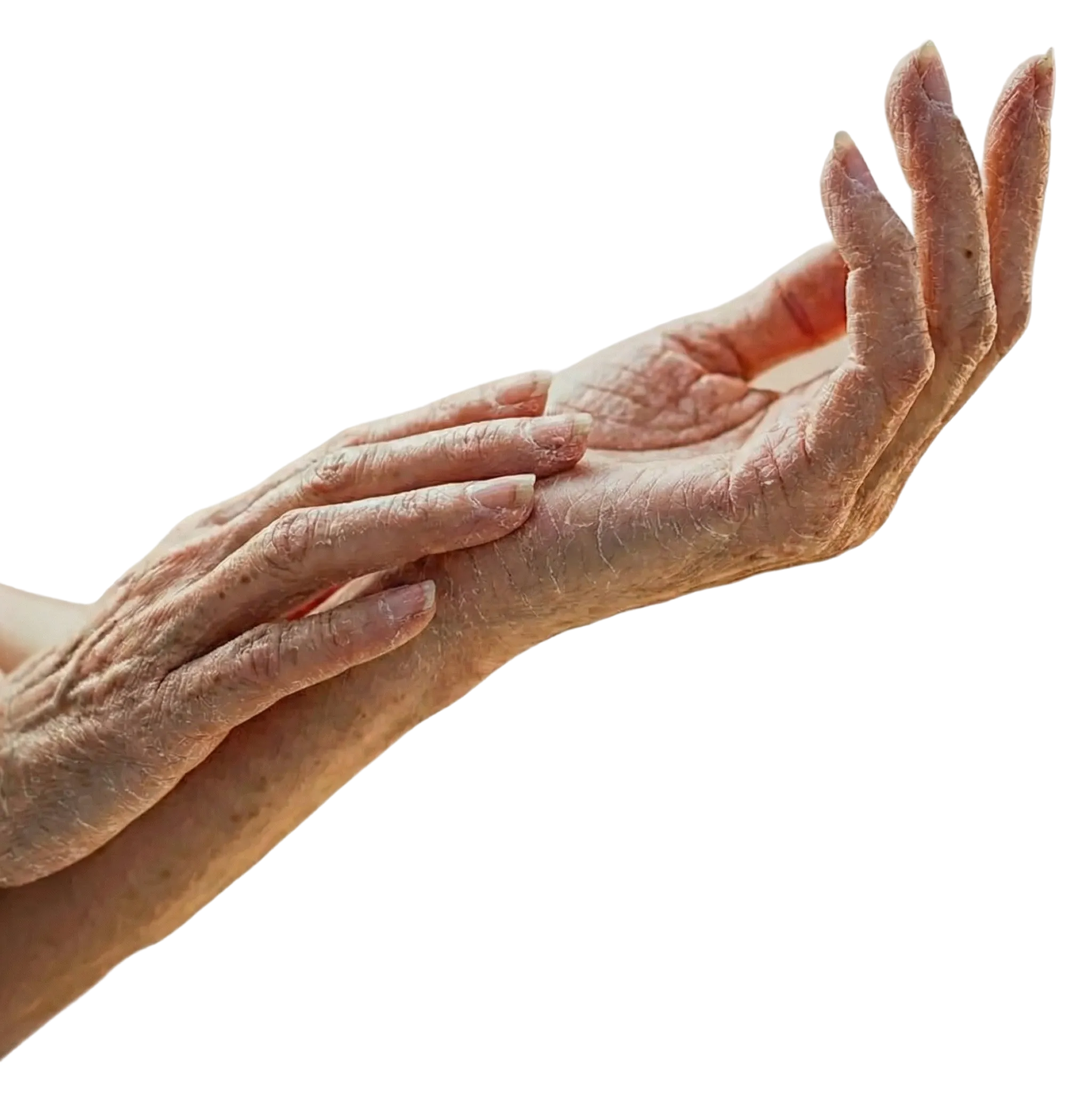 Hands