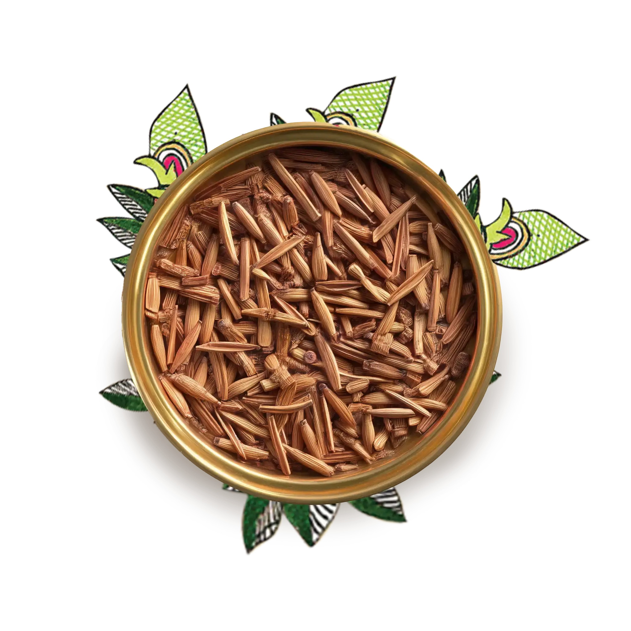 Blackboard Tree Bark (Saptaparna, Alstonia scholaris) 